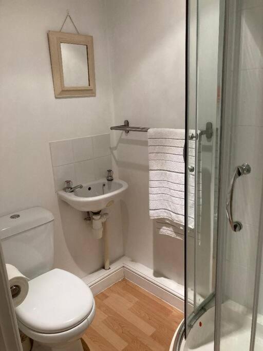 Studio Annexe With Separate Shower Room Broadhempston Exterior foto